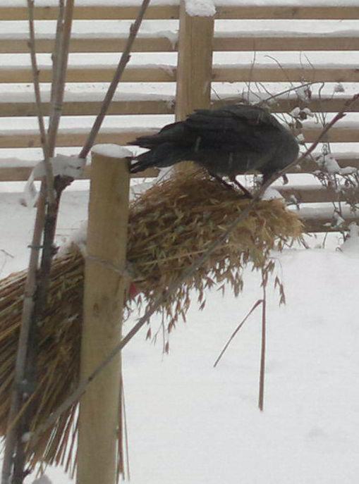 197912_10151181660274022_90039150_n