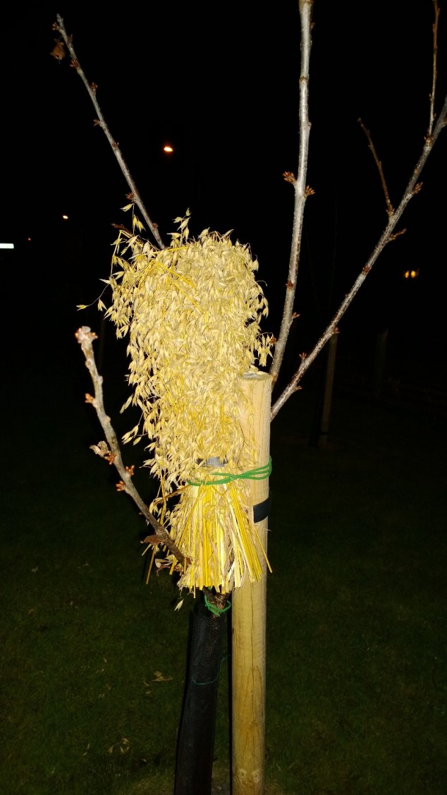 Klart pippifåglarna också ska få julfint!