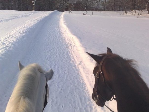 17052_274589004021_3452445_n