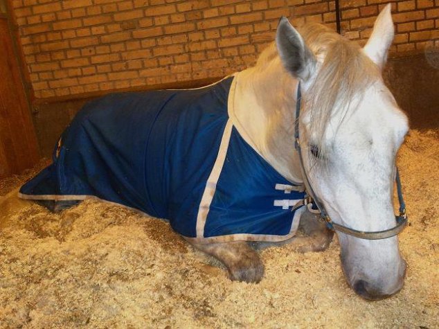 1917517_371827654021_4688260_n