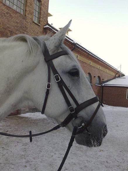 20152_237326709021_7441018_n