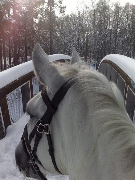 21042_313719084021_8272668_n