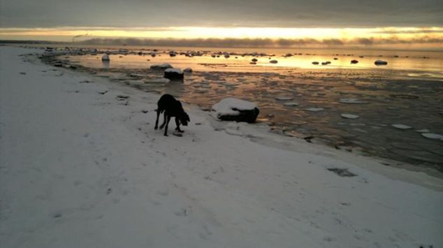 532503_10151182830799022_638250950_n