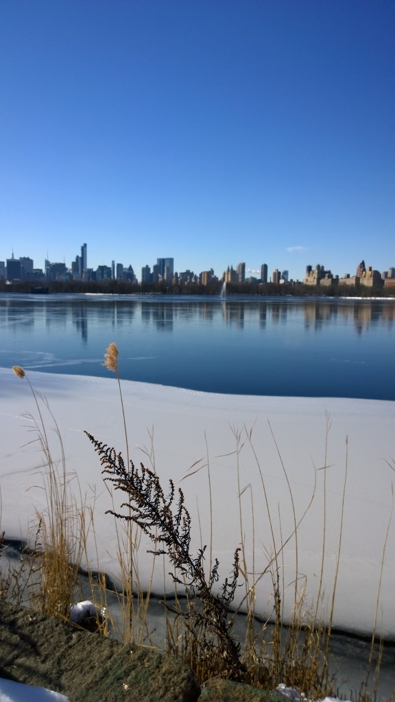 WP_20140124_11_06_46_Pro