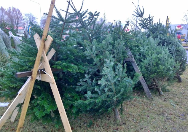 wp_20161211_12_19_44_pro