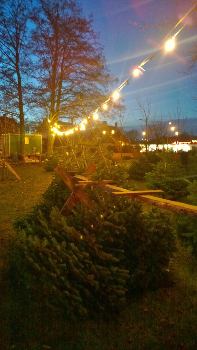 wp_20161211_16_25_09_pro