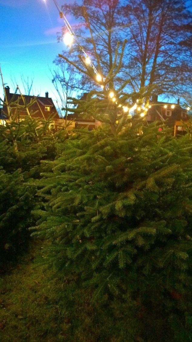 wp_20161211_16_25_24_pro