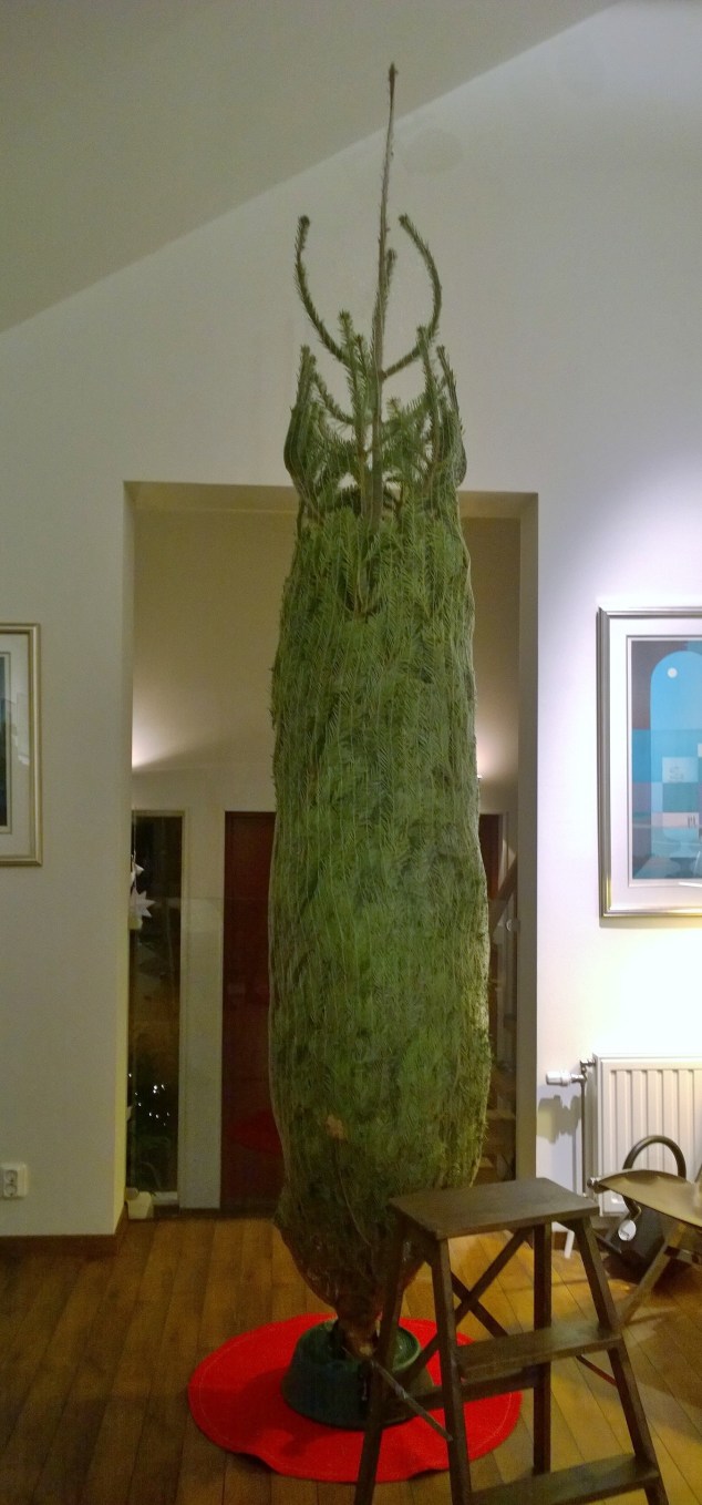 wp_20161216_17_55_56_pro