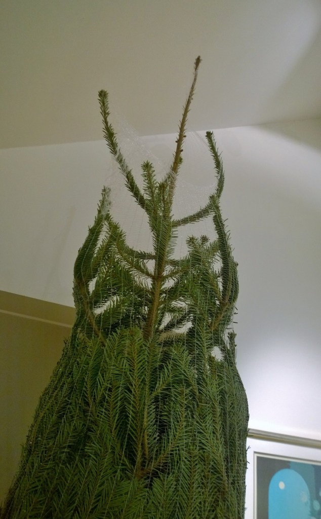 wp_20161216_17_57_19_pro