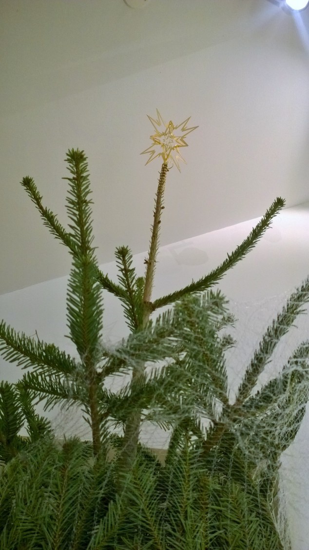 wp_20161216_18_05_31_pro