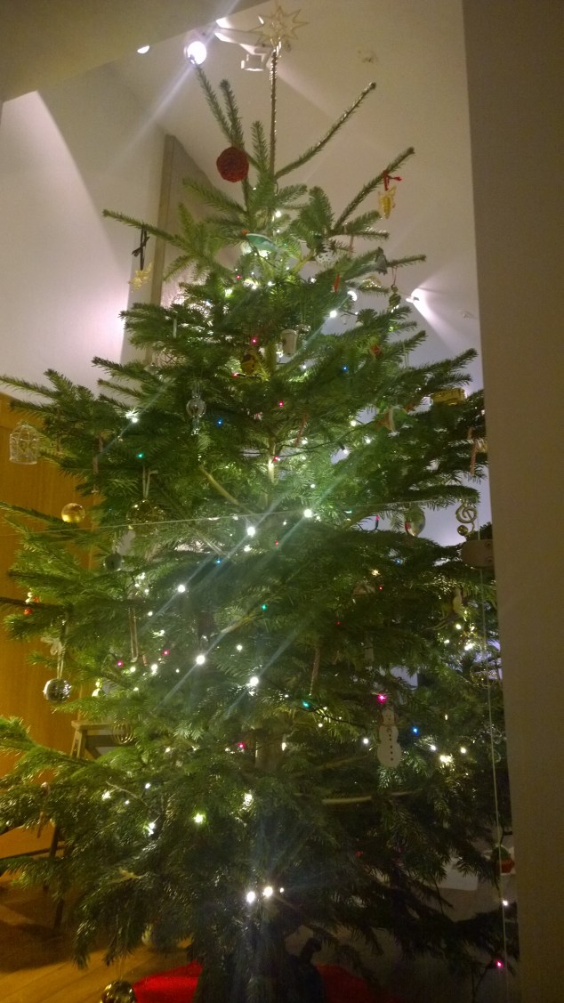 wp_20161218_19_19_58_pro